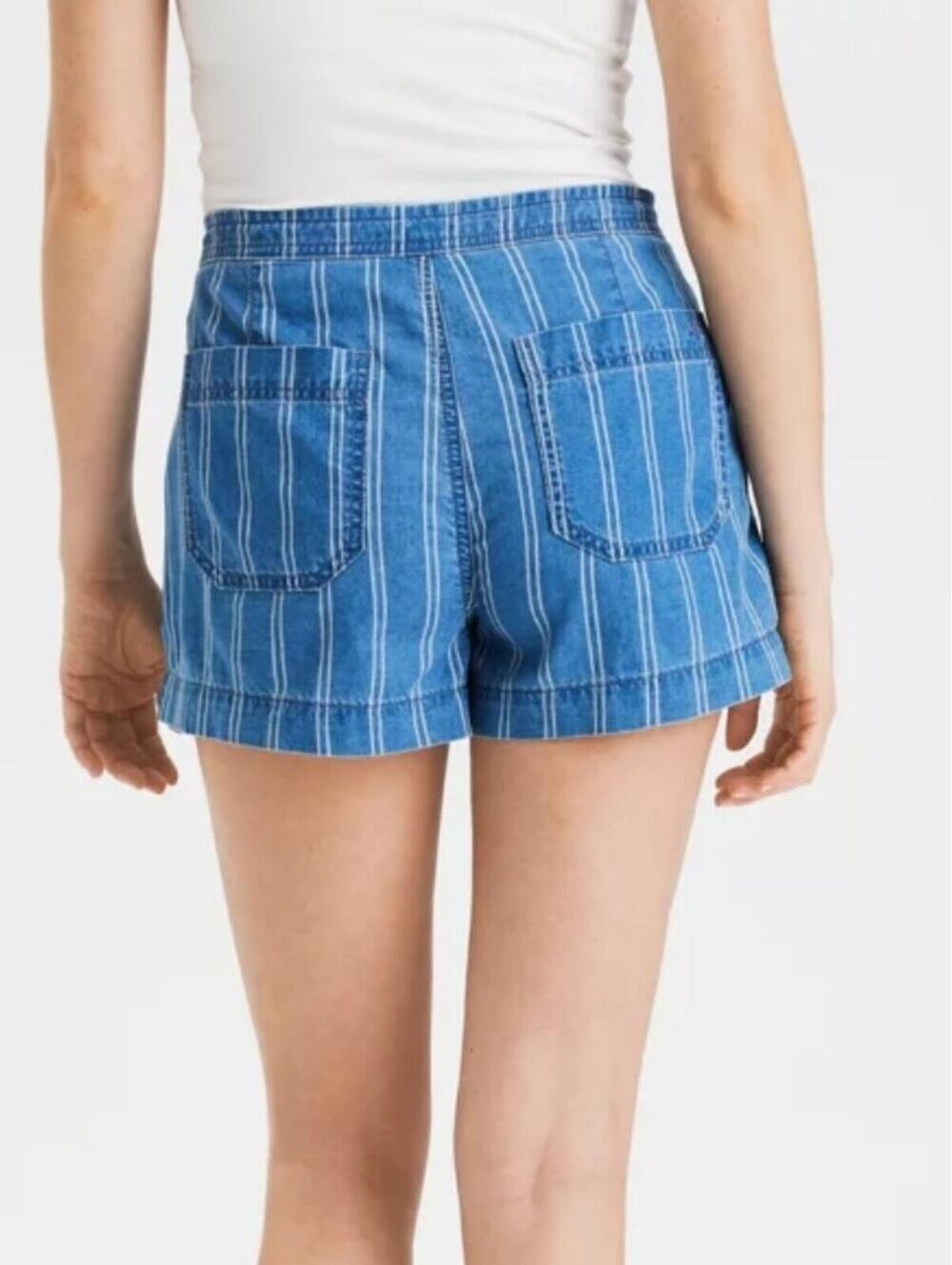 American Eagle Outfitters Blue Striped Chambray Mid-Length Walking Shorts Size 2
